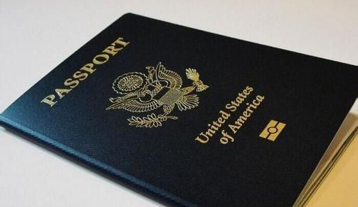 多米尼克护照案例