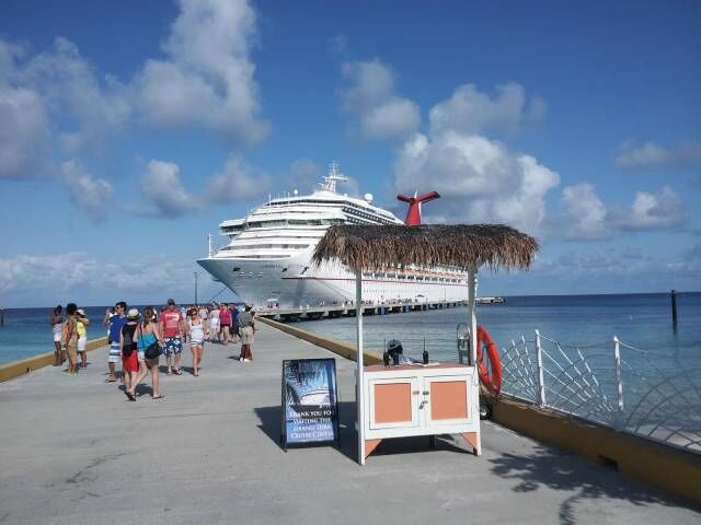 多米尼克移民项目