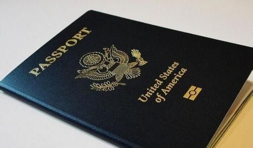 多米尼克移民案例