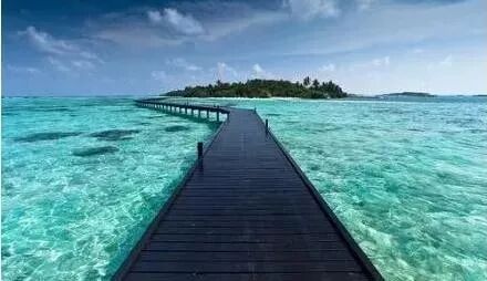 瓦努阿图护照移民