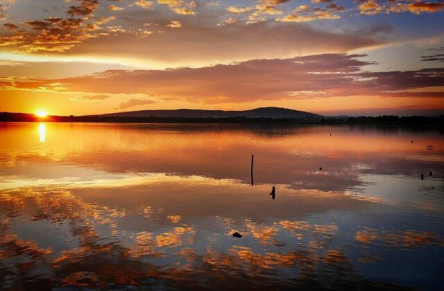 葡萄牙移民优势