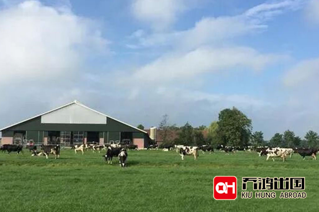 荷兰创业移民签证